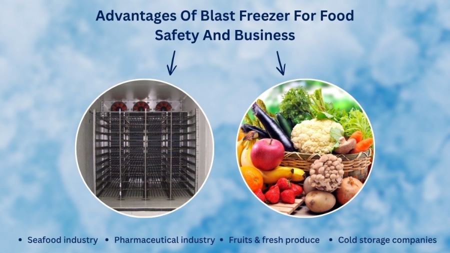 Advantages Of Blast Freezer For Food Safety And Business