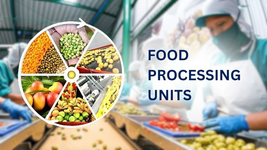 Setting up of Food Processing Units